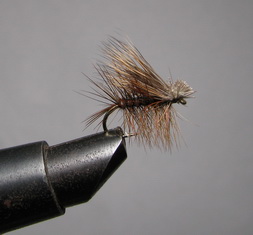 ���� X Caddis  Natural  Kumho � 12 